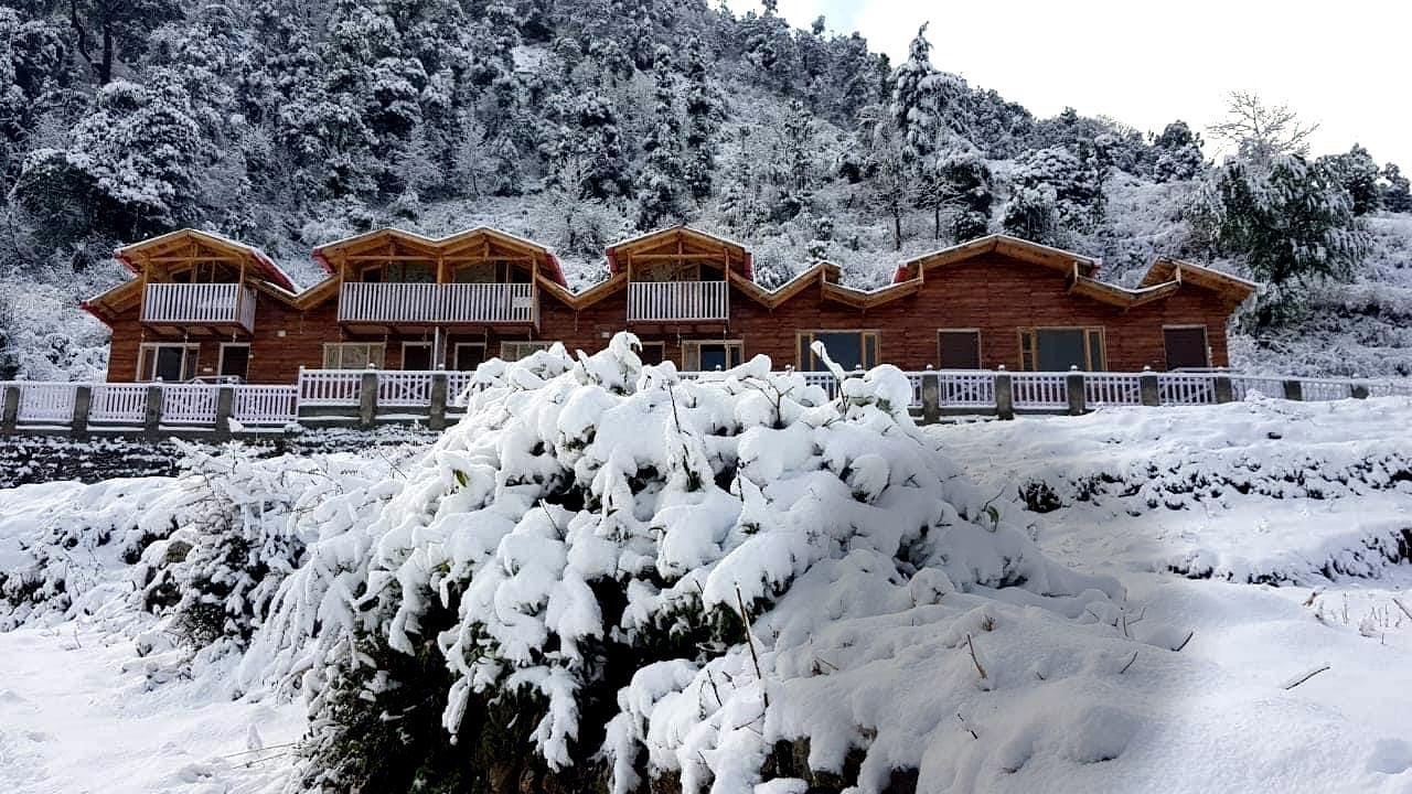 We look like this in January and February
.
.
.
Escape to Rooftop Cottages, just 40 minutes from Nainital, where tranquility meets the enchanting monsoon atmosphere. Nestled away from the bustling tourist spots, this serene retreat offers the perfect getaway with breathtaking sunsets just after the rains. Embrace the peaceful charm and natural beauty that defines this hidden gem. Discover more on our profile and experience Nainital like never before.
#RooftopCottagesNainital #NainitalStays #NainitalRetreat #MonsoonVibes #HiddenGems #NainitalGetaway #PeacefulRetreat #NainitalDiaries #SunsetViews #LuxuryStay #TravelUttarakhand #ExploreNainital #IncredibleIndia #NatureLovers #HimalayanHideaway #TravelGoals #Staycation #UttarakhandTourism #MountainRetreat #MonsoonMagic #WeekendGetaway #NainitalResorts #LuxuryEscapes #TrendingReel #InstagramReel